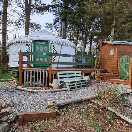 The Tall Pines Yurt Helmsdale Exteriér fotografie