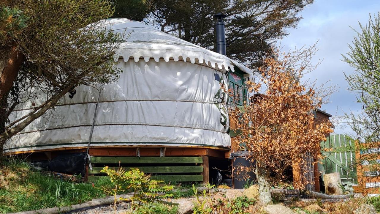 The Tall Pines Yurt Helmsdale Exteriér fotografie
