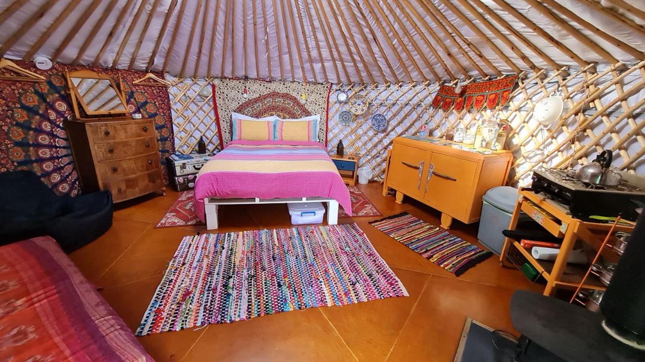 The Tall Pines Yurt Helmsdale Exteriér fotografie