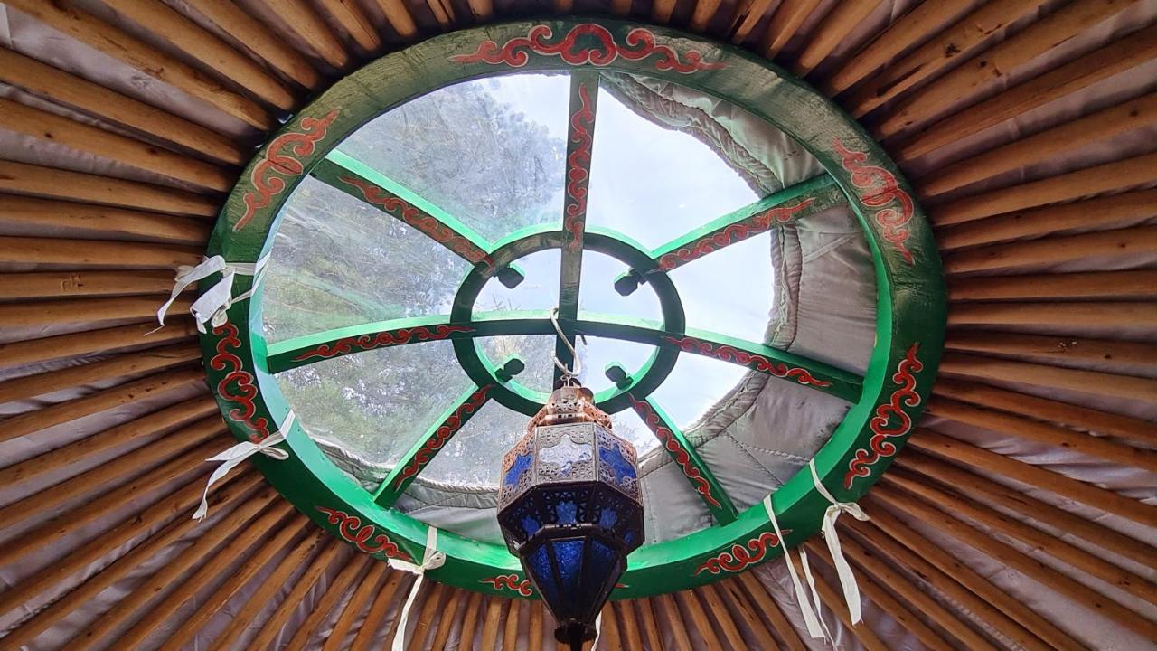 The Tall Pines Yurt Helmsdale Exteriér fotografie