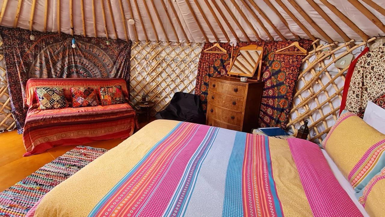 The Tall Pines Yurt Helmsdale Exteriér fotografie