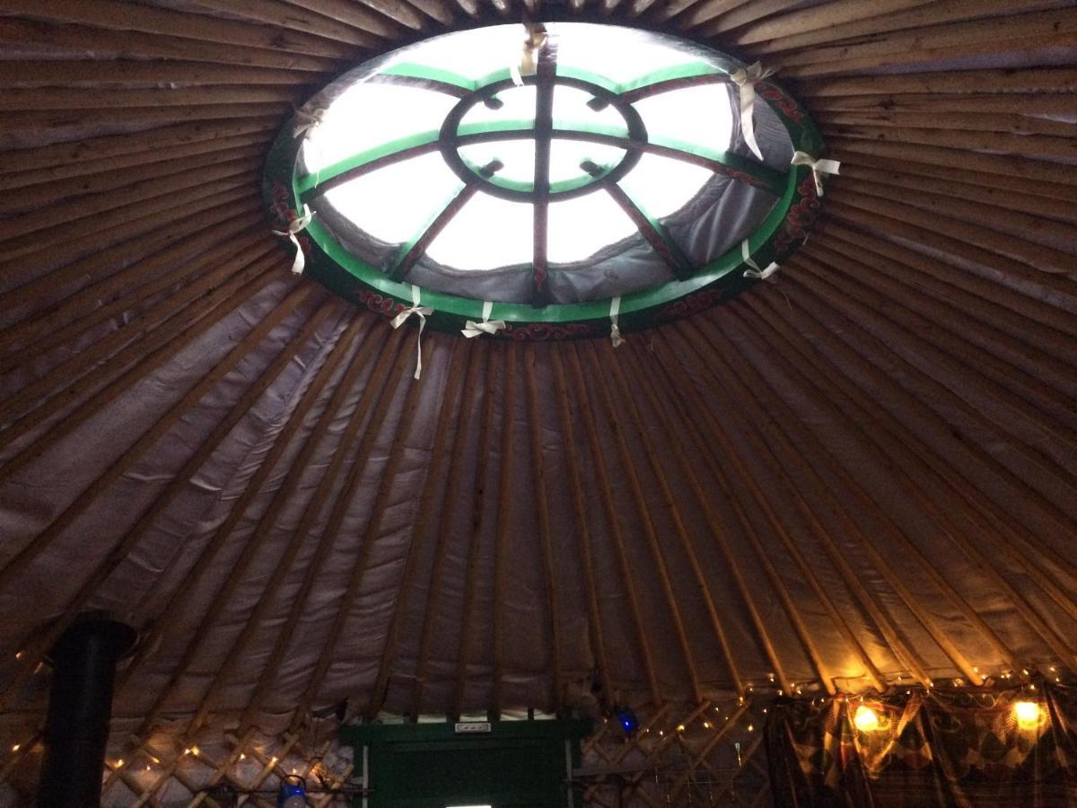 The Tall Pines Yurt Helmsdale Exteriér fotografie